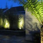 Bamboo forest and plant lighting effects at night