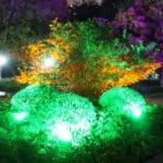 Night landscape lighting pictures