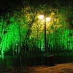 Landscape lighting pictures